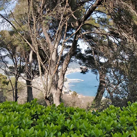 Villa Torre Alpicella -